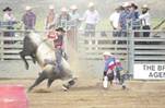 bullfight4